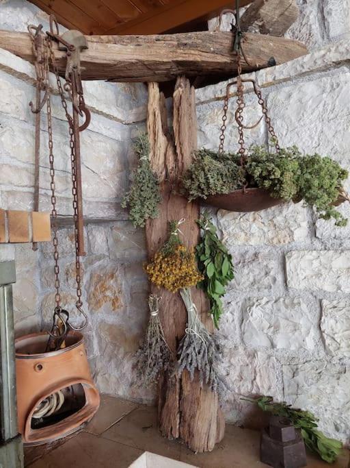 Villa Olive Stone