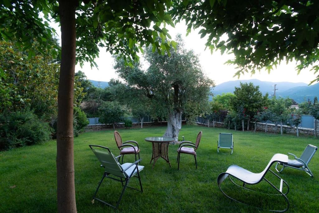 Villa Olive Stone Platanovrisi