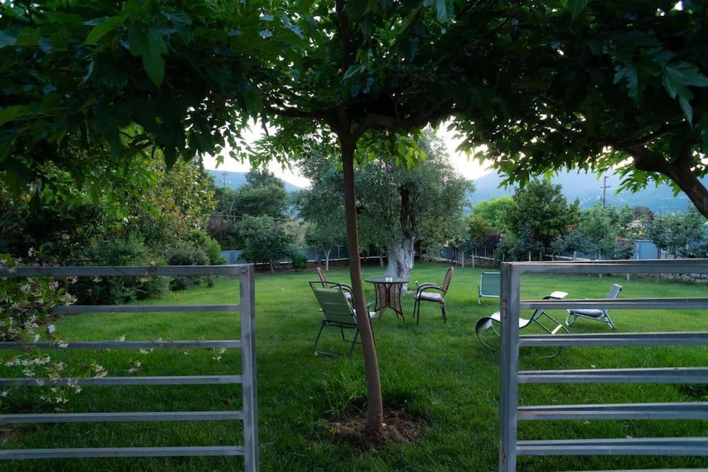 Villa Olive Stone Platanovrisi